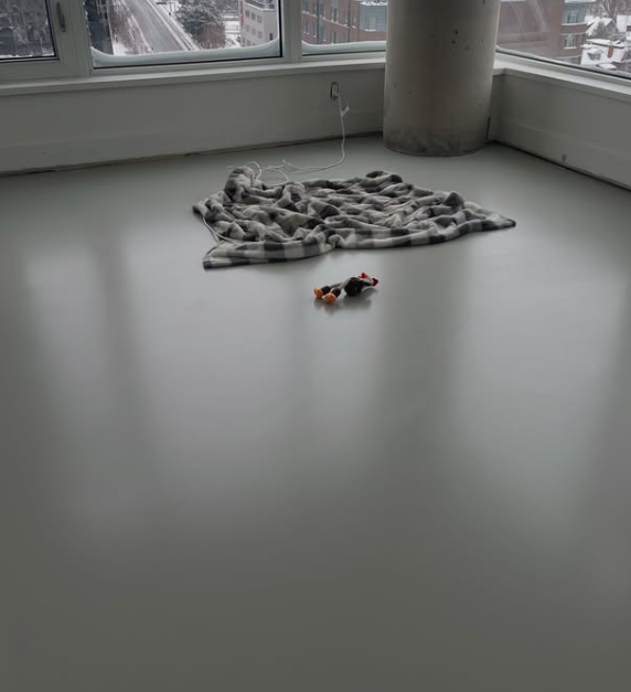 Seamless grey urethane floor, downtown condo suite